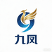 小九凤
