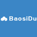 BaosiDu高奢稀有皮手工女包