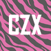 CZX 服饰企业店