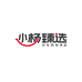 小杨臻选合肥小杨臻选供应链管理有限公司内衣专卖店