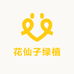 花仙子绿植