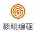 核桃少儿编程