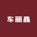 车丽鑫汽车用品