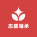 SKF进口轴承经销商