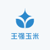 王强玉米