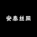 安泰丝网