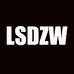 LSDZW云霄县洛高百货商行汽车用品专卖店