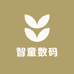 智童数码