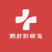 鹦胖胖萌宠