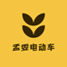 孟雯电动车旗舰店