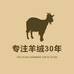 鄂尔多斯市WANGQUAN高端羊绒