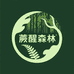蕨醒森林