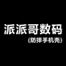 派派哥数码