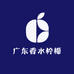 湛江广东香水柠檬优选