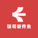 强哥爱养鱼