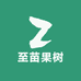 至苗满枝头苗木果树苗木专卖店