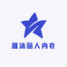 雅沐丽人内衣