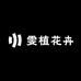 雯植花卉