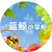 蓝鲸小掌柜