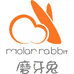 Molar Rabbit磨牙兔官方旗舰店