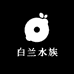 白兰水族