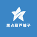 黑占葫芦铺子
