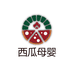 西瓜母婴供应链