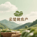 云楚姚农产臻选