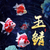 锦成锦鲤