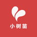 智慧小树苗