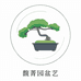 阳江市江城区馥菁园盆景园