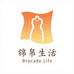 锦帛生活