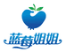 蓝莓姐姐实验室