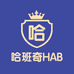 哈班奇HABANKYE