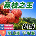 惠东美食严选