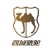 西域骆驼男装洋豪店