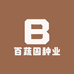 新疆种子供应链