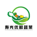 寿光优鲜蔬菜
