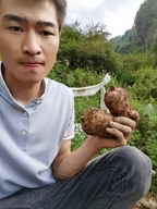 彝良县君乐农产品