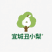 宜城丑小梨