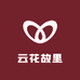 云花故里