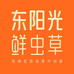 东阳光官方旗舰店