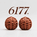 6177文玩核桃