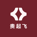 贵起飞