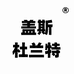 盖斯杜兰特运动工厂店