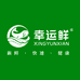 幸运鲜老母鸡汤