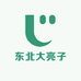 东北大亮子