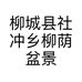 柳城县社冲乡柳荫盆景基地的小店个体店