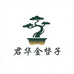 君华金弹子盆景园艺