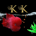 KK罗汉鱼